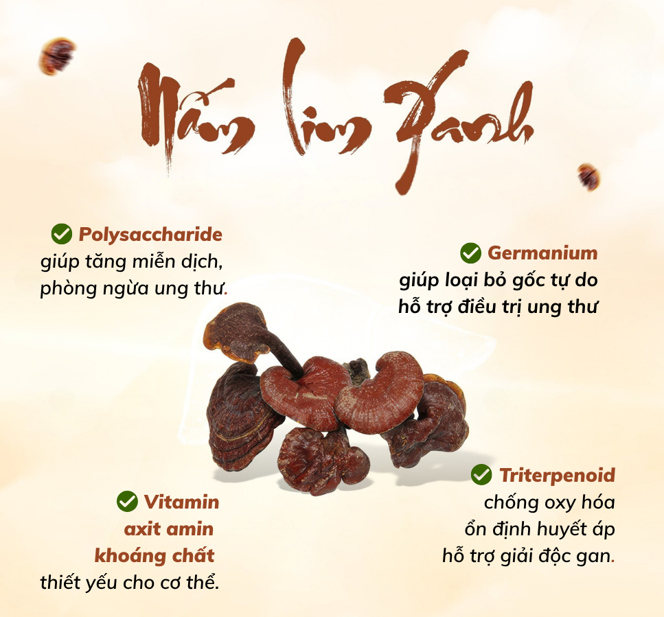 cách dùng nấm lim xanh